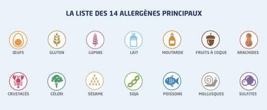 Liste avec les icônes des 14 allergènes – Van Geloven conseille les exploitants horeca et de friteries